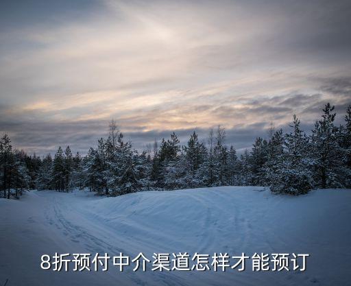 8折預(yù)付中介渠道怎樣才能預(yù)訂