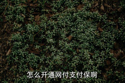 網(wǎng)絡(luò)支付保障怎么開通，怎么開通支付保呢
