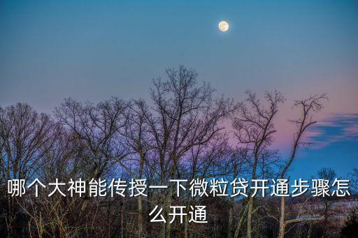 怎么強開qq微粒貸，哪個大神能傳授一下微粒貸開通步驟怎么開通