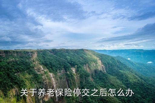 關(guān)于養(yǎng)老保險(xiǎn)停交之后怎么辦