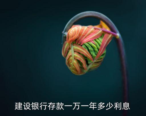 建行卡存款利息怎么算，建設(shè)銀行的利息怎么算
