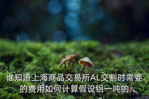 誰知道上海商品交易所AL交割時需要的費用如何計算假設(shè)鋁一噸的