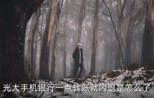 光大銀行閃退怎么辦，光大手機(jī)銀行一點(diǎn)轉(zhuǎn)賬就閃退是怎么了