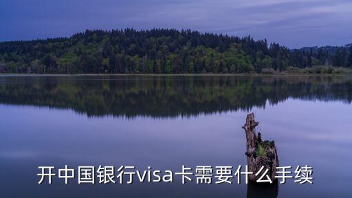 中國(guó)銀行visa借記卡怎么辦理，怎樣辦理中國(guó)銀行發(fā)行的維薩借記卡