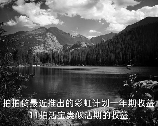 拍拍貸最近推出的彩虹計(jì)劃一年期收益11拍活寶類似活期的收益