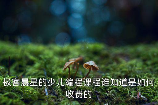 極客晨星的少兒編程課程誰知道是如何收費(fèi)的