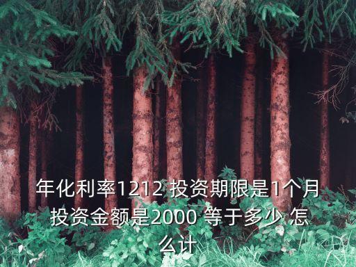 年化利率1212 投資期限是1個(gè)月 投資金額是2000 等于多少 怎么計(jì)
