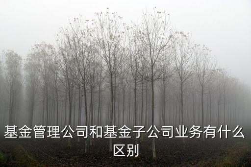 基金子公司 怎么樣，基金管理公司和基金子公司業(yè)務(wù)有什么區(qū)別