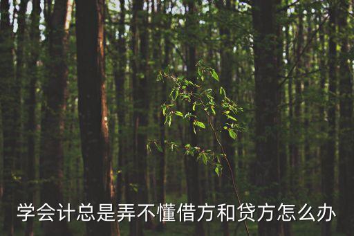 學(xué)會計總是弄不懂借方和貸方怎么辦
