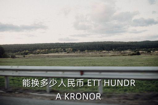 能換多少人民幣 ETT HUNDRA KRONOR