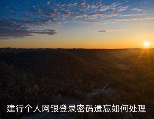 建行個人網(wǎng)銀登錄密碼遺忘如何處理