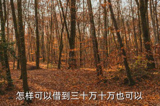 怎樣可以借到三十萬十萬也可以