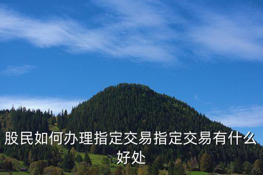 怎么辦理指定交易，買賣股票網(wǎng)上如何辦理指定交易