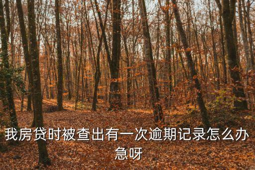 我房貸時(shí)被查出有一次逾期記錄怎么辦 急呀