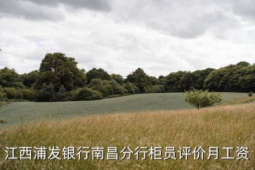 浦發(fā)銀行南昌分行待遇怎么樣，浦發(fā)銀行南昌分行大堂經(jīng)理工資多少