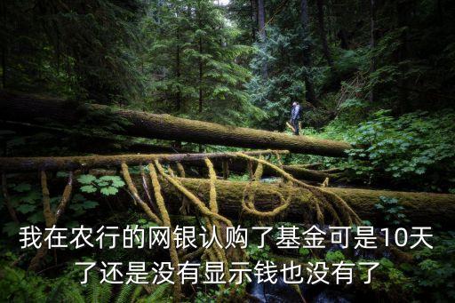 我在農(nóng)行的網(wǎng)銀認(rèn)購(gòu)了基金可是10天了還是沒(méi)有顯示錢(qián)也沒(méi)有了
