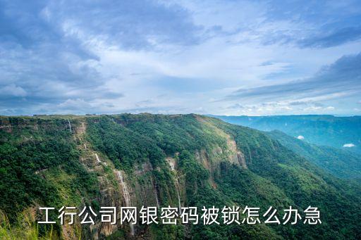 公司網(wǎng)盾鎖了怎么辦，工行企業(yè)網(wǎng)銀u盾密碼鎖定了怎么辦