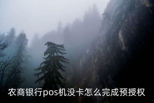 農(nóng)商銀行pos機沒卡怎么完成預(yù)授權(quán)