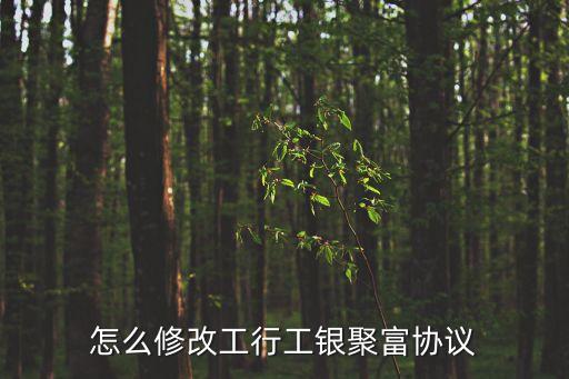 怎么修改工行工銀聚富協(xié)議