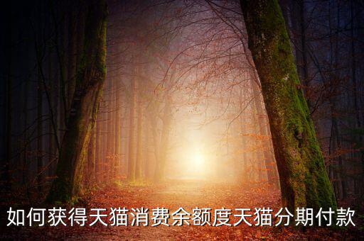 天貓分期 銀行怎么賺錢，天貓怎么掙錢