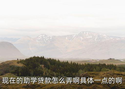 資助卡怎么貸款，助學(xué)貸款怎么貸啊
