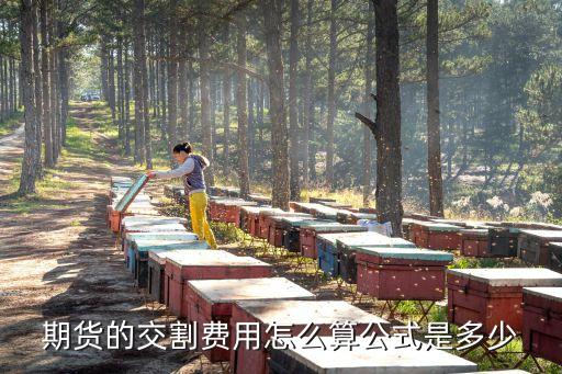 期貨的交割費用怎么算公式是多少