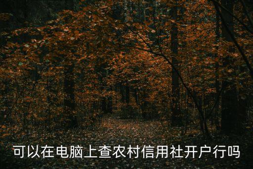 浙江農(nóng)村信用社怎么查開戶行，怎樣查詢銀行卡的開戶行是哪里