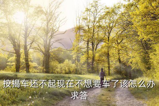 按揭的車不想要了怎么辦理，我買的車是分期的現(xiàn)在不想要了怎么辦