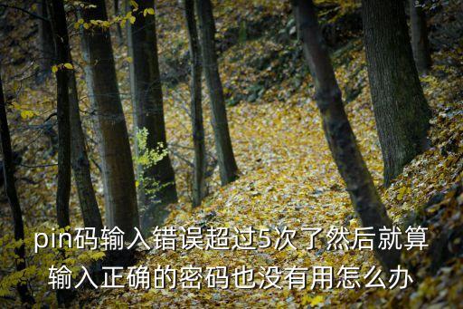 徽行密碼錯誤次數(shù)超限怎么辦，為什么我徽商銀行卡取錢顯示輸入密碼次數(shù)超限