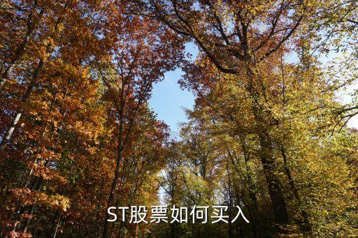 股票st怎么買，ST股票如何買入