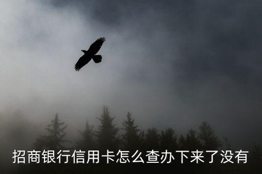 招商銀行信用卡怎么查辦下來了沒有