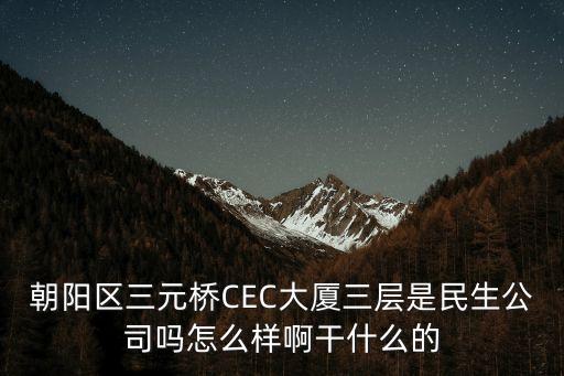 朝陽區(qū)三元橋CEC大廈三層是民生公司嗎怎么樣啊干什么的