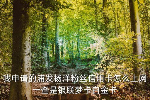 浦發(fā)信用卡楊洋怎么預(yù)約，有誰(shuí)知道浦發(fā)銀行的信用卡怎么申請(qǐng)嗎