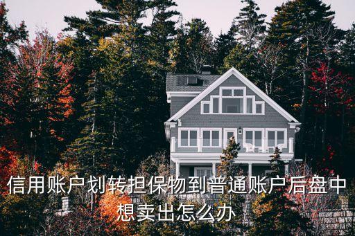 信用賬戶里的160630怎么賣掉，信用賬戶劃轉(zhuǎn)擔(dān)保物到普通賬戶后盤中想賣出怎么辦