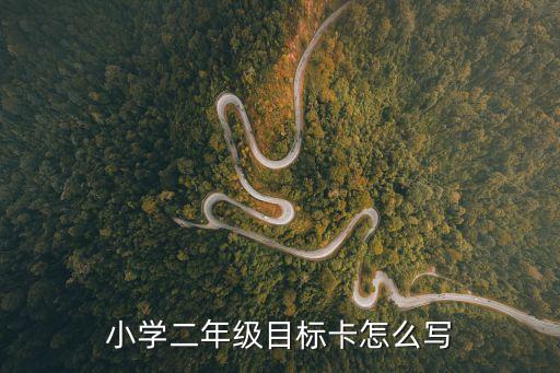 小學(xué)二年級(jí)目標(biāo)卡怎么寫