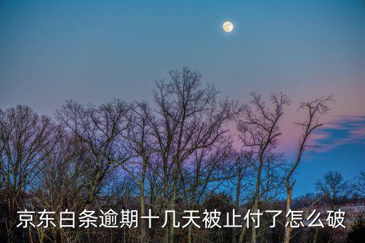 京東白條逾期十幾天被止付了怎么破