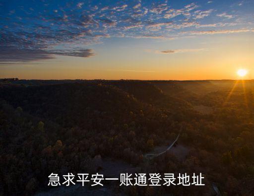急求平安一賬通登錄地址