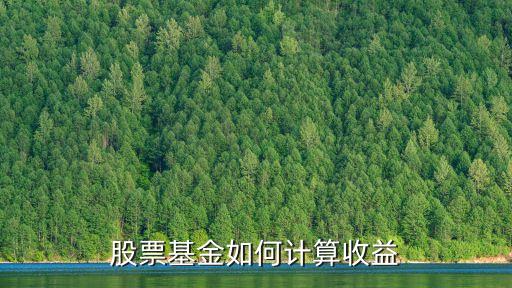 股票基金如何計算收益