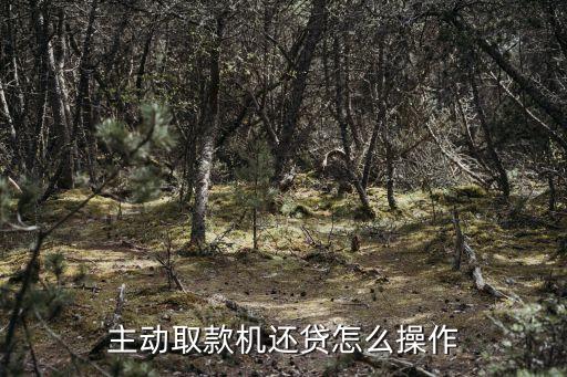主動(dòng)取款機(jī)還貸怎么操作