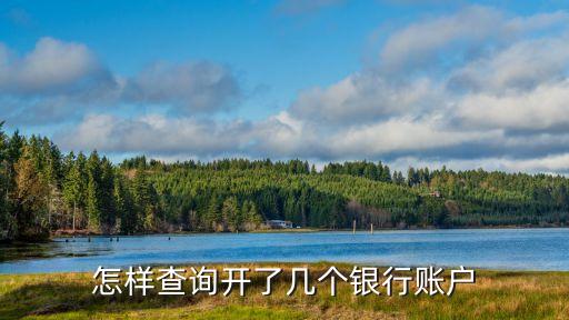 怎么查公司開設(shè)的所有銀行賬戶，去哪里查詢公司開立了幾個(gè)銀行賬戶