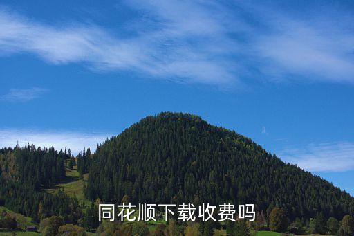 同花順收費(fèi)版怎么買，同花順我沖了vip點(diǎn)怎么買股票