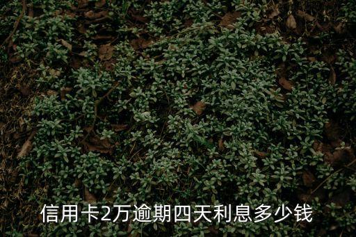 信用卡2萬逾期四天利息多少錢