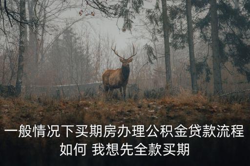 一般情況下買期房辦理公積金貸款流程如何 我想先全款買期