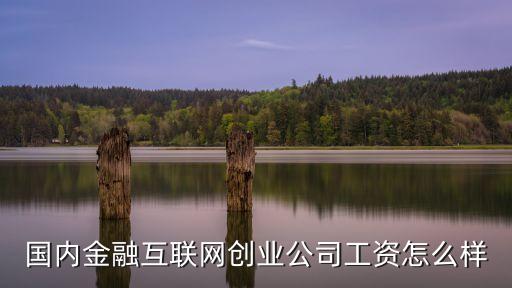國內金融互聯(lián)網(wǎng)創(chuàng)業(yè)公司工資怎么樣