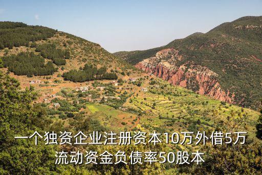 股本結(jié)構(gòu)與規(guī)模怎么寫，股本結(jié)構(gòu)的介紹