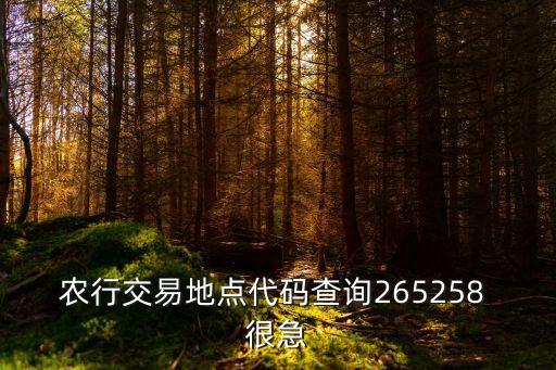 農(nóng)行交易地點(diǎn)代碼查詢265258 很急