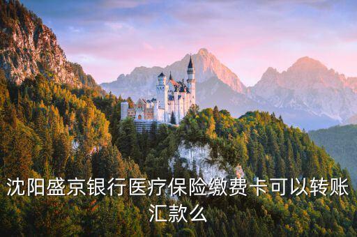 沈陽盛京銀行醫(yī)療保險繳費卡可以轉(zhuǎn)賬匯款么