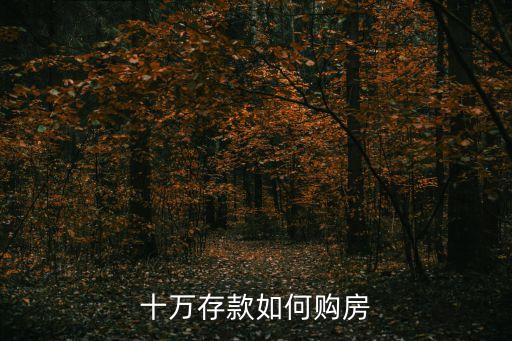 十萬(wàn)存款如何購(gòu)房