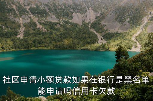社區(qū)申請(qǐng)小額貸款如果在銀行是黑名單能申請(qǐng)嗎信用卡欠款