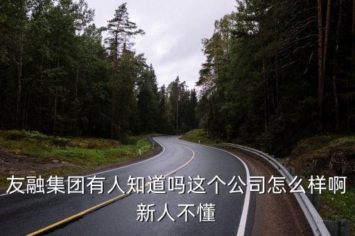 友融集團有人知道嗎這個公司怎么樣啊新人不懂
